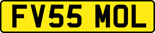 FV55MOL