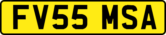FV55MSA
