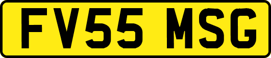 FV55MSG