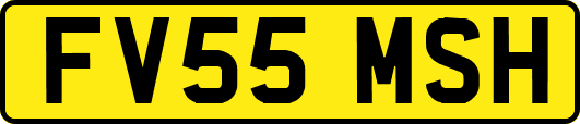 FV55MSH