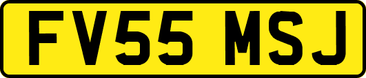 FV55MSJ