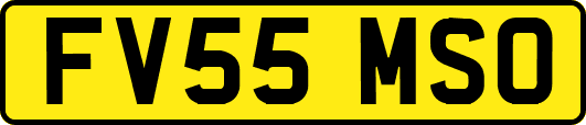 FV55MSO
