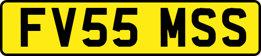 FV55MSS