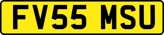 FV55MSU
