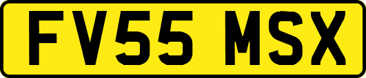 FV55MSX