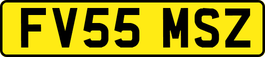 FV55MSZ