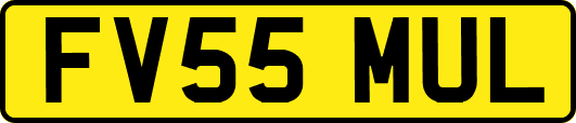 FV55MUL