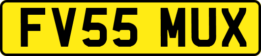 FV55MUX