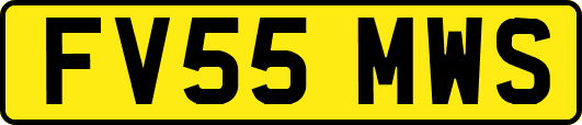 FV55MWS