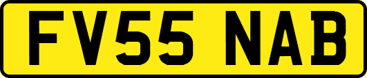 FV55NAB