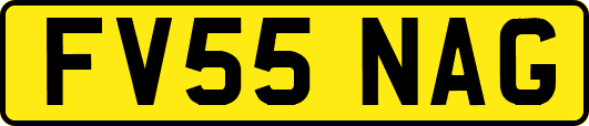 FV55NAG