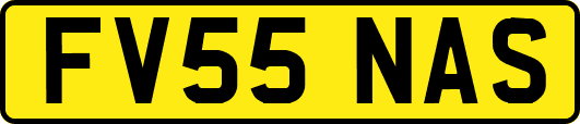 FV55NAS
