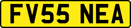 FV55NEA