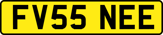 FV55NEE