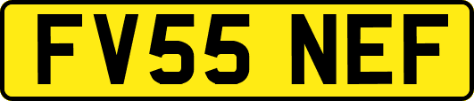 FV55NEF