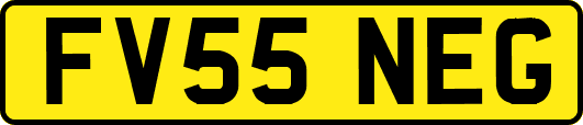 FV55NEG