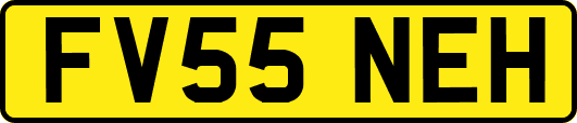 FV55NEH