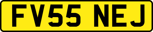 FV55NEJ