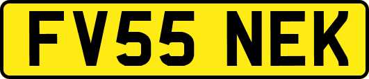 FV55NEK