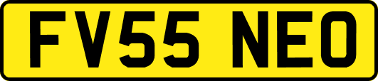 FV55NEO