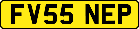 FV55NEP
