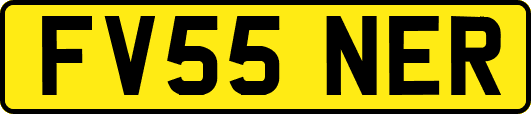 FV55NER