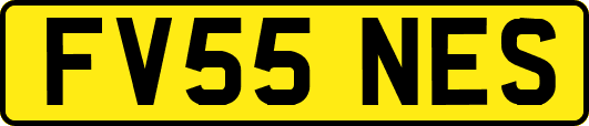 FV55NES