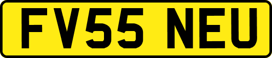 FV55NEU