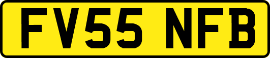 FV55NFB
