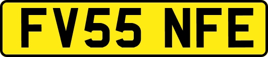 FV55NFE