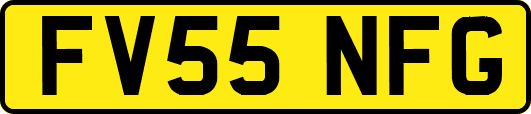 FV55NFG