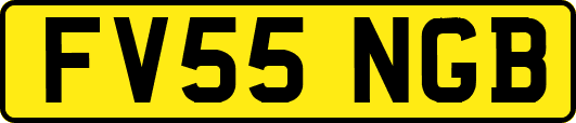 FV55NGB