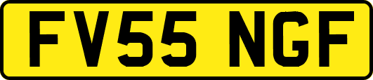 FV55NGF