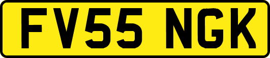FV55NGK