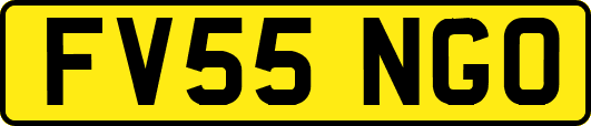 FV55NGO