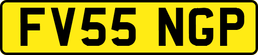 FV55NGP