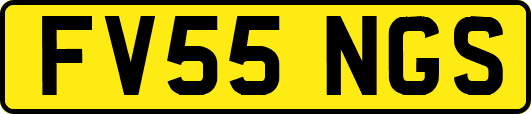 FV55NGS