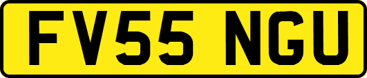 FV55NGU