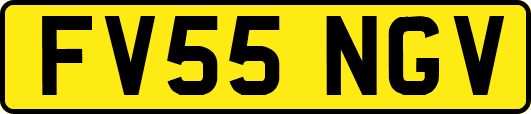 FV55NGV