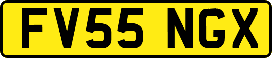 FV55NGX