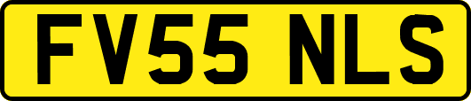 FV55NLS