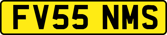 FV55NMS
