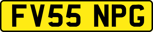 FV55NPG