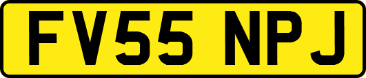 FV55NPJ