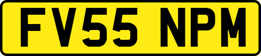 FV55NPM