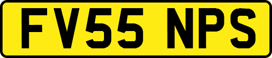 FV55NPS