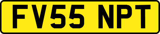 FV55NPT