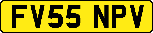 FV55NPV