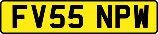 FV55NPW