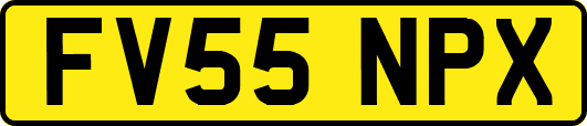 FV55NPX